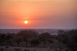 Tsavo-Nationalpark